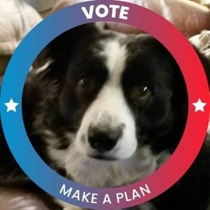 Meet your Posher, Judy